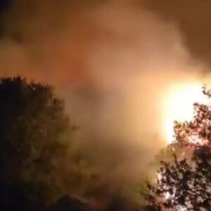 izmir urlada orman yangini mecernQu