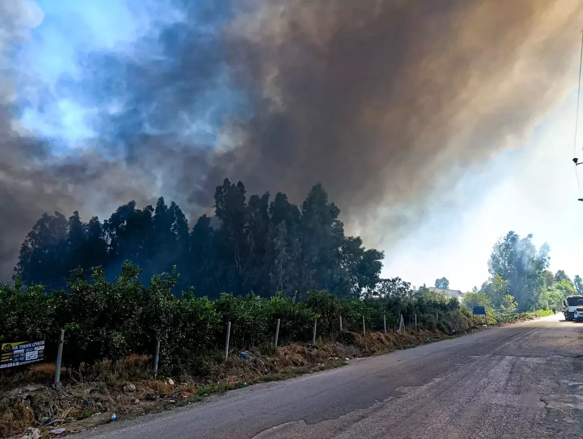 adanada yanginla mucadele ILDQIxpn