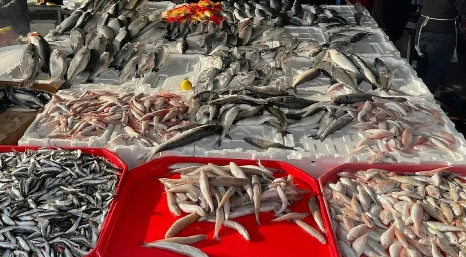 fiyati dusunce talep artti OOVONEGb