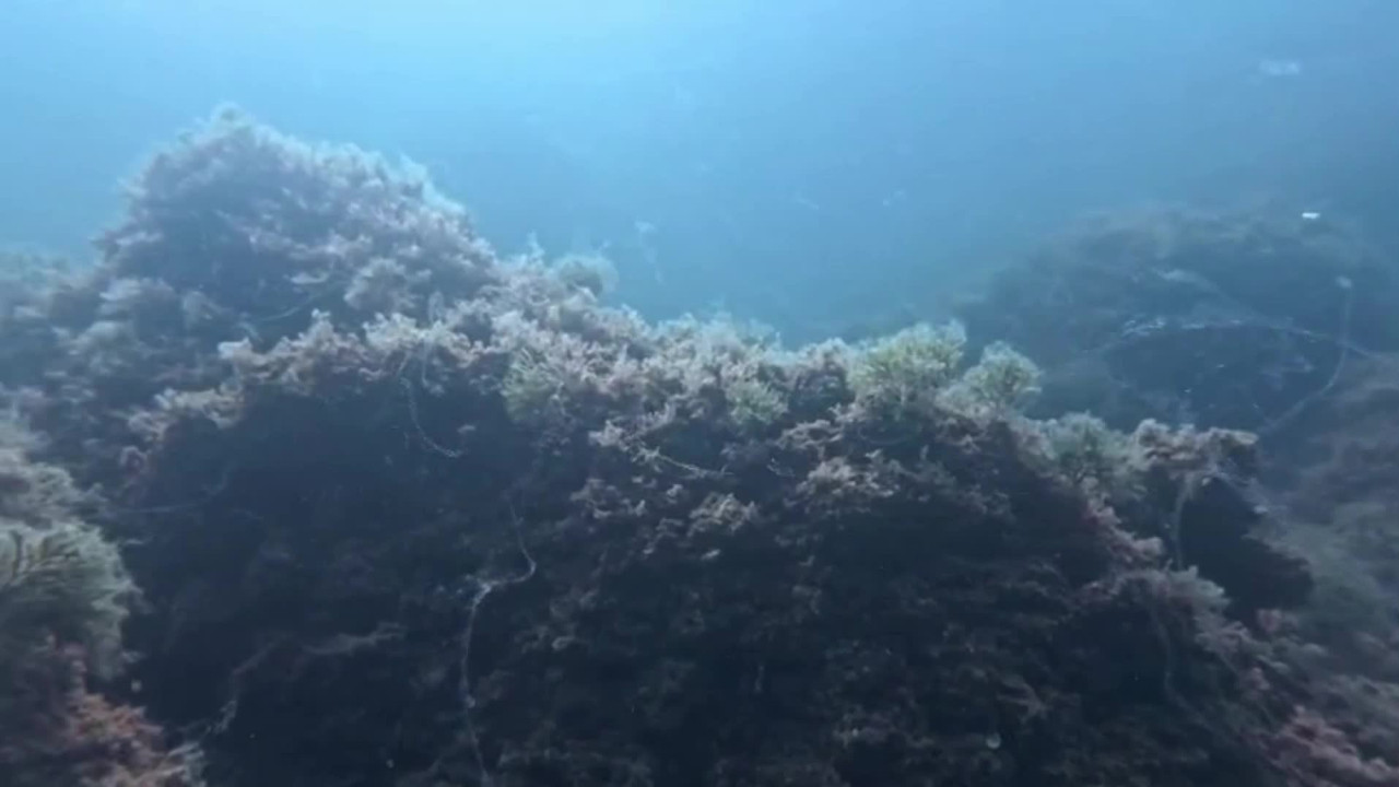 kabus geri dondu uzman isim uyardi acilen harekete gecilmeli qYjmtvRg