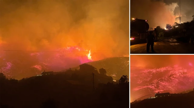 orman yangininda alevlere mahalleye sicradi evler ve seralar alevlerin arasinda kaldi dbnqJGf5