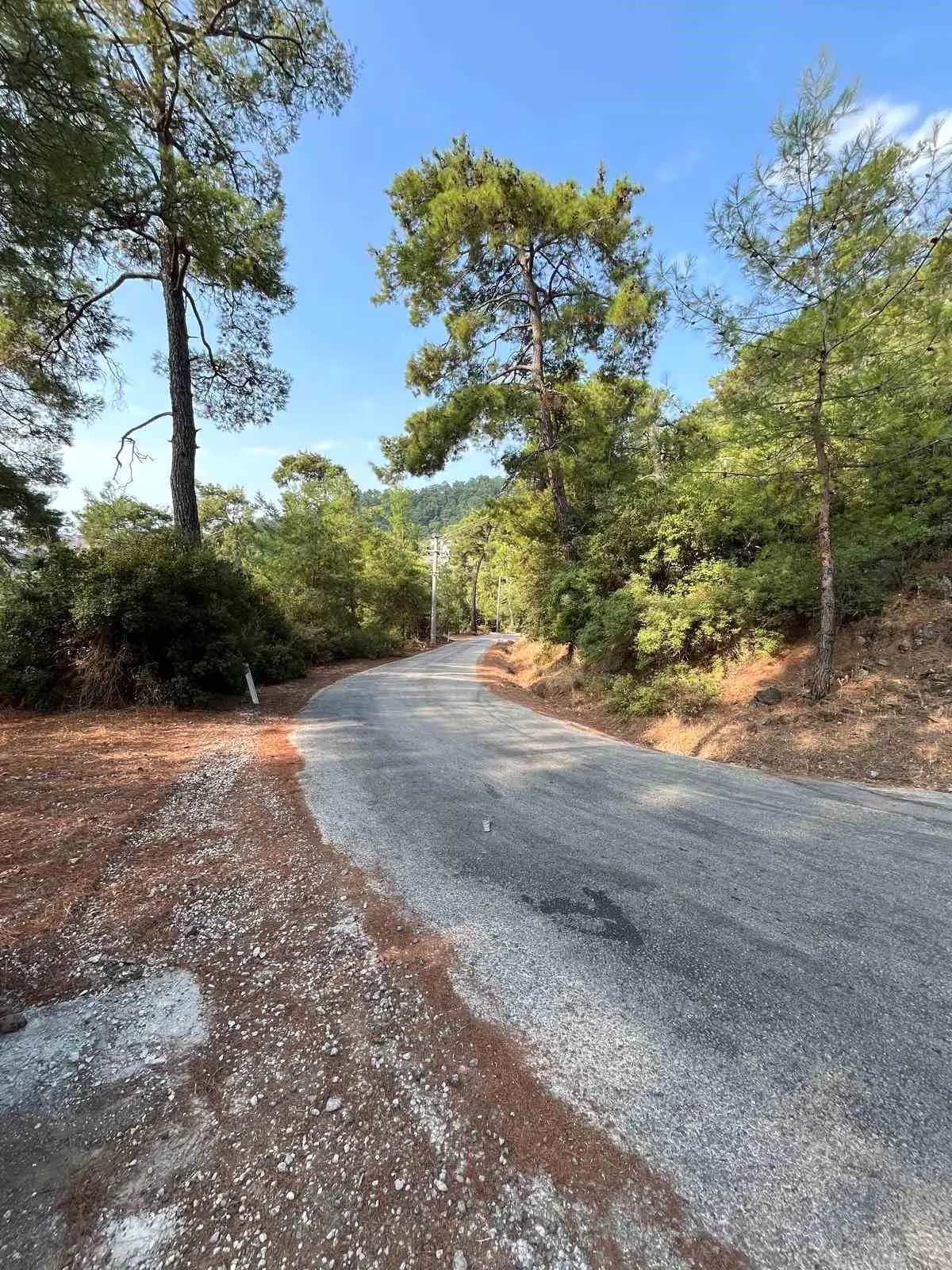 marmariste yangin onleme calismalari yayginlasirken 4HqCPyYT