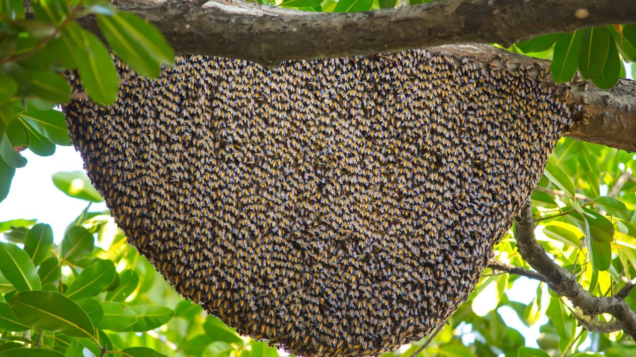 bingolde ureticilere yuzde 75 hibe verildi pNI7iNpf.jpg