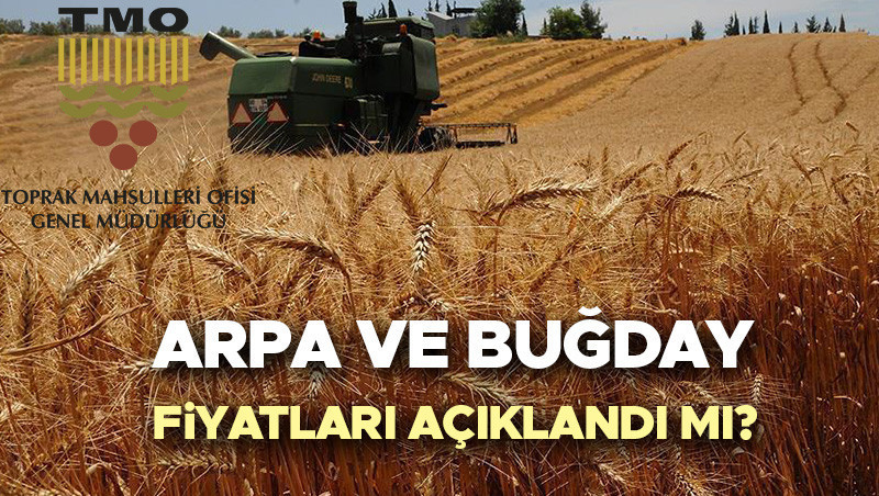 2026 TMO Buğday Fiyatları: Ne Bekleniyor, Arpa Fiyatları Açıklandı mı?